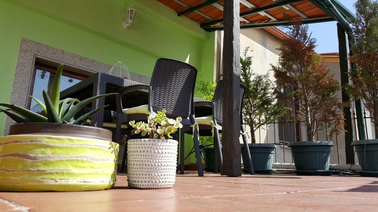 Green House Porto Luaran gambar